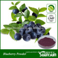 GMP Chinese blue berry concentrate juice powder